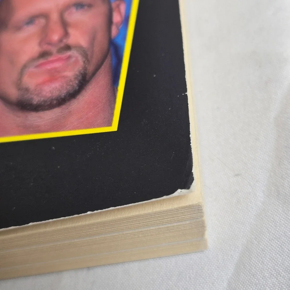Rulers Of The Ring Wrestling's Hottest Superstars by Robert Picarello Paperback